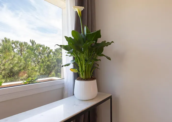 Lujoso Con Piscina En Paseo Maritimo Apartament Marbella